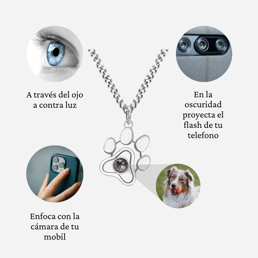 Collar proyección de foto mascota